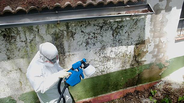 Trusted Commercial Mold Remediation service in Randallstown, MD - Cheap Mold Removal